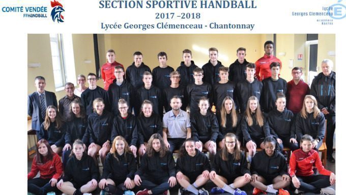 La section handball