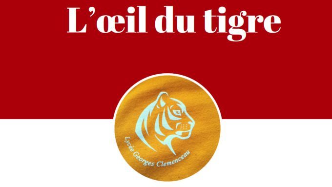 Découvrez le deuxième numéro de L’Oeil du Tigre